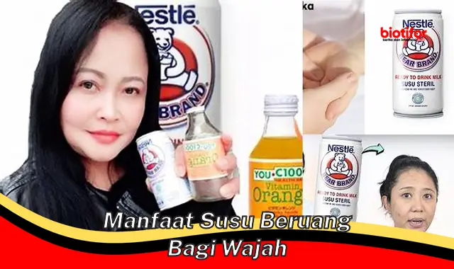 Temukan Manfaat Susu Beruang untuk Wajah yang Jarang Diketahui