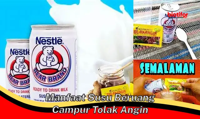 Temukan Manfaat Susu Beruang Campur Tolak Angin yang Jarang Diketahui