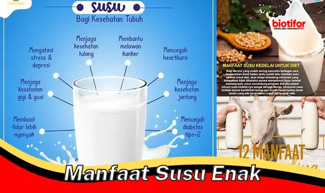 manfaat susu enak manfaat susu enak