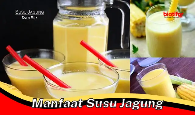 Temukan Manfaat Susu Jagung yang Jarang Diketahui, Wajib Tau!