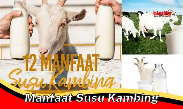 Ungkap Manfaat Susu Kambing Yang Jarang Diketahui