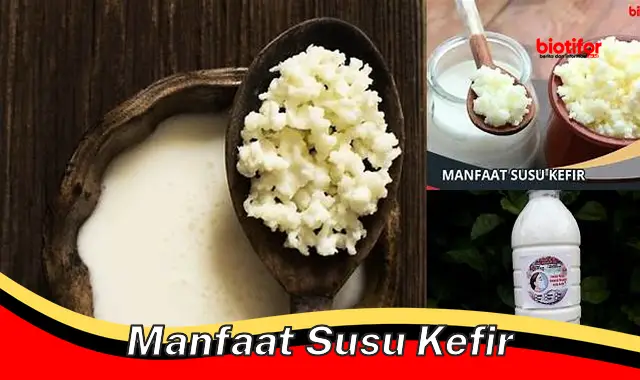 Temukan 5 Manfaat Susu Kefir yang Jarang Diketahui