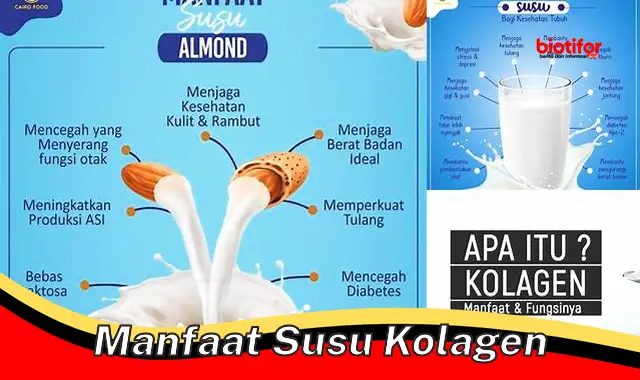 manfaat susu kolagen manfaat susu kolagen