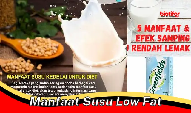 Manfaat Susu Low Fat