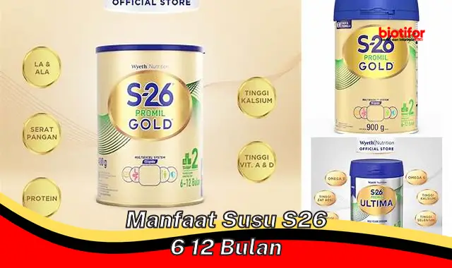 manfaat susu s26 6 12 bulan