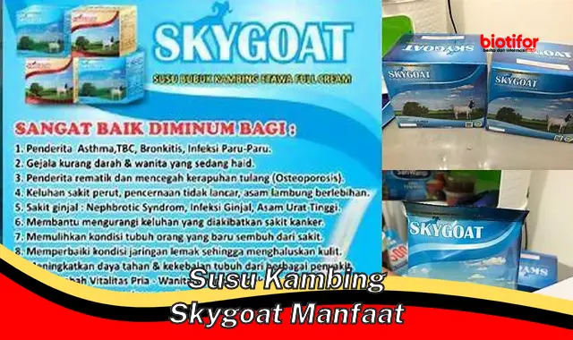 Temukan Manfaat Susu Kambing Skygoat yang Jarang Diketahui