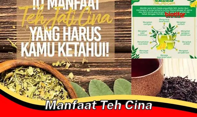 Temukan Khasiat Teh Cina Yang Perlu Anda Ketahui