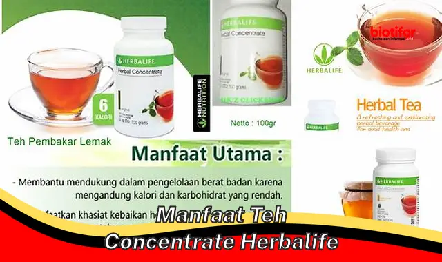 Temukan Manfaat Teh Konsentrat Herbalife Yang Jarang Diketahui