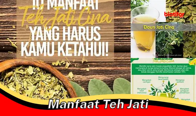 Temukan Khasiat Teh Jati yang Jarang Diketahui