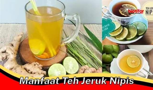 Temukan Khasiat Teh Jeruk Nipis yang Jarang Diketahui