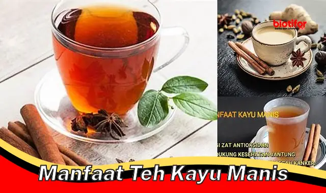 manfaat teh kayu manis manfaat teh kayu manis