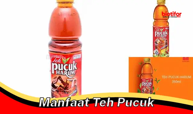 Temukan Manfaat Teh Pucuk yang Jarang Diketahui