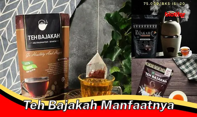 Temukan Manfaat Teh Bajakah yang Jarang Diketahui Anda Wajib Tahu