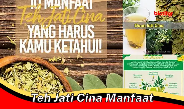 Temukan 5 Manfaat Teh Jati Cina yang Jarang Diketahui