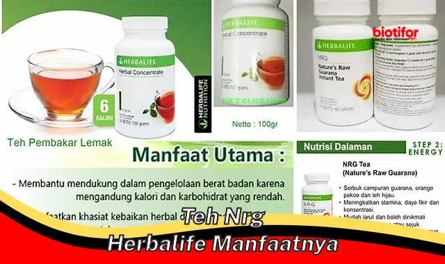 Temukan Manfaat Teh NRG Herbalife yang Jarang Orang Tahu