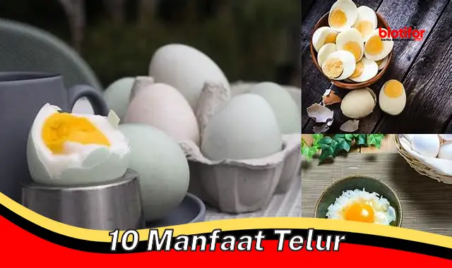 Temukan 10 Khasiat Telur yang Jarang Diketahui