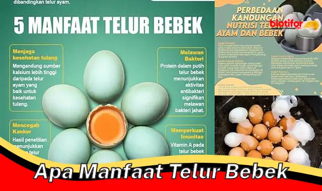 Temukan Manfaat Telur Bebek yang Jarang Diketahui