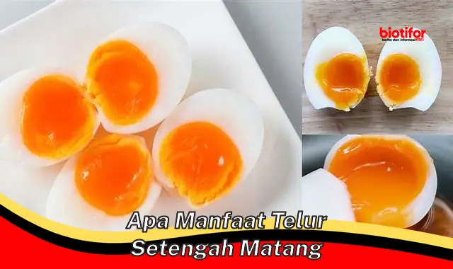 Temukan 5 Manfaat Telur Setengah Matang yang Jarang Diketahui