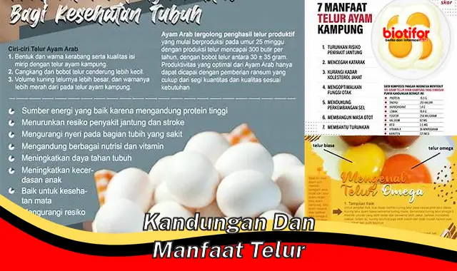 Temukan Manfaat Telur Yang Belum Banyak Diketahui