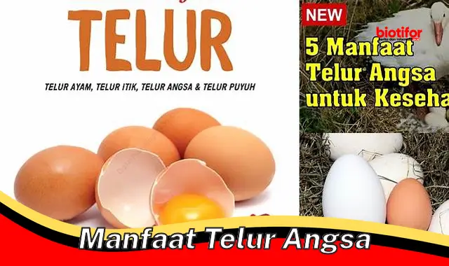 Temukan Manfaat Telur Angsa Langka yang Jarang Diketahui