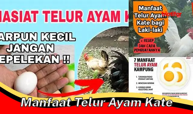 Temukan Manfaat Telur Ayam Kate yang Jarang Diketahui