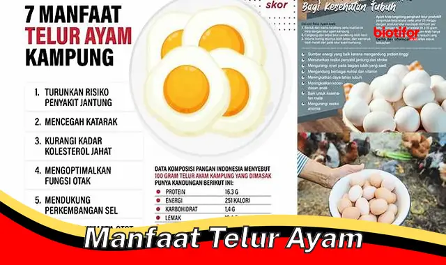 Temukan Rahasia Manfaat Telur Ayam yang Jarang Diketahui