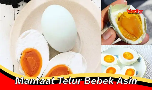 5 Manfaat Telur Bebek Asin yang Jarang Orang Ketahui