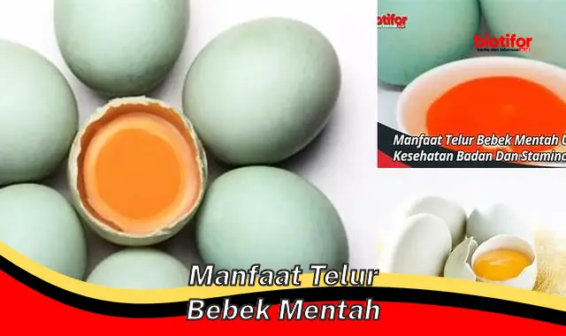 5 Manfaat Telur Bebek Mentah Jarang Diketahui