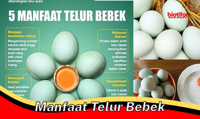 Temukan 5 Manfaat Telur Bebek yang Jarang Diketahui