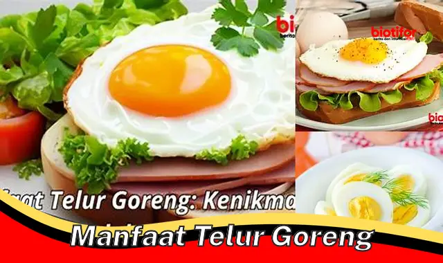 Temukan Rahasia Telur Goreng yang Jarang Diketahui