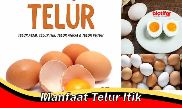 Temukan Manfaat Telur Itik yang Jarang Diketahui