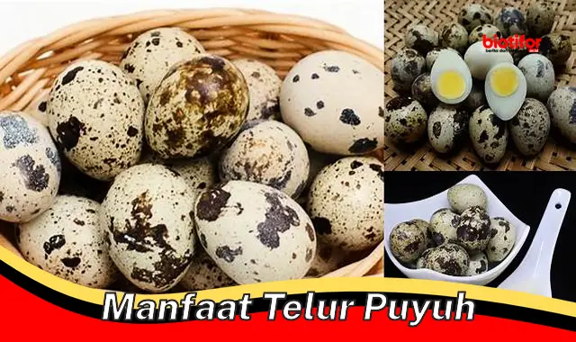 Temukan Manfaat Telur Puyuh yang Perlu Anda Ketahui