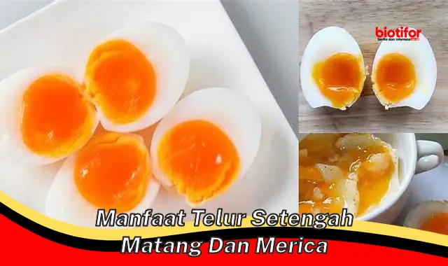 Temukan Manfaat Telur Setengah Matang dan Lada yang Belum Diketahui