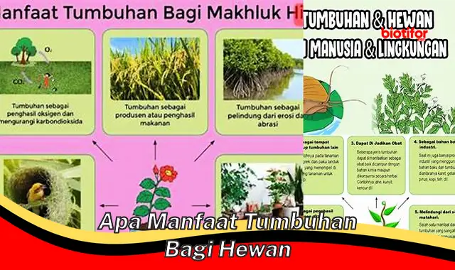 Temukan Manfaat Tumbuhan yang Langka Diketahui untuk Hewan