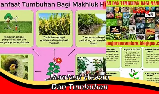 Temukan Manfaat Hewan dan Tumbuhan yang Perlu Kamu Tahu