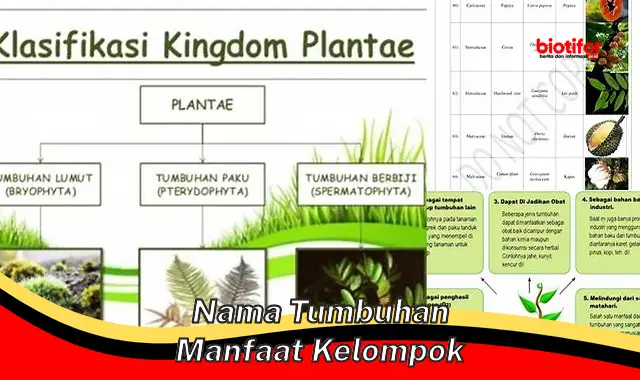 Temukan 5 Manfaat Tumbuhan Yang Perlu Kamu Ketahui