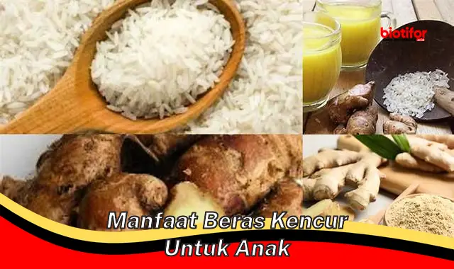 Temukan 5 Manfaat Beras Kencur untuk Anak yang Jarang Diketahui!