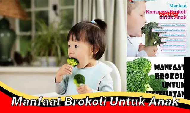 Temukan Manfaat Brokoli Untuk Anak Yang Jarang Diketahui