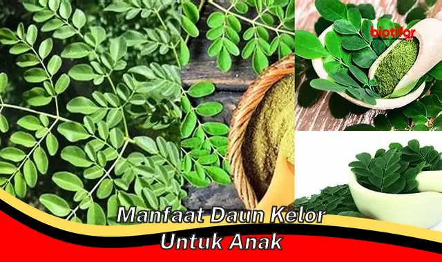 Cari Tahu Manfaat Daun Kelor untuk Anak yang Jarang Diketahui