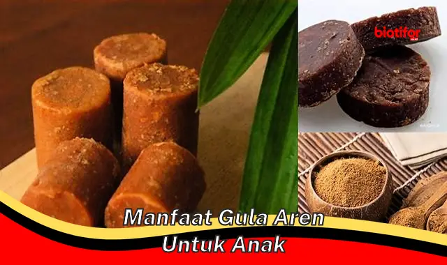 Temukan Manfaat Menakjubkan Gula Aren untuk Anak yang Jarang Diketahui