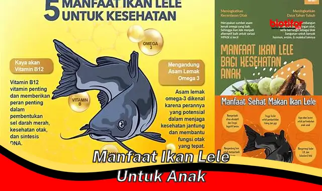 5 Khasiat Ikan Lele untuk Anak yang Belum Banyak Diketahui