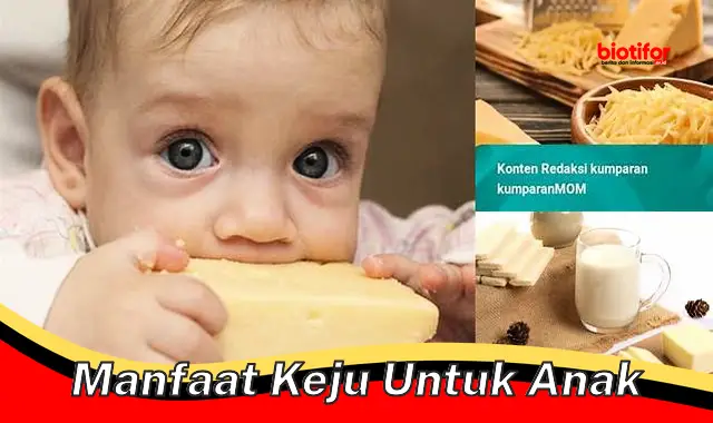 Unveil the Rarely Known Benefits of Keju for Anak