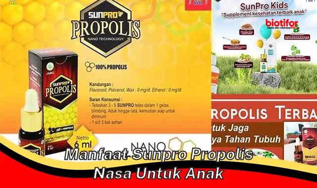 Temukan Manfaat Sunpro Propolis NASA untuk Anak yang Jarang Diketahui