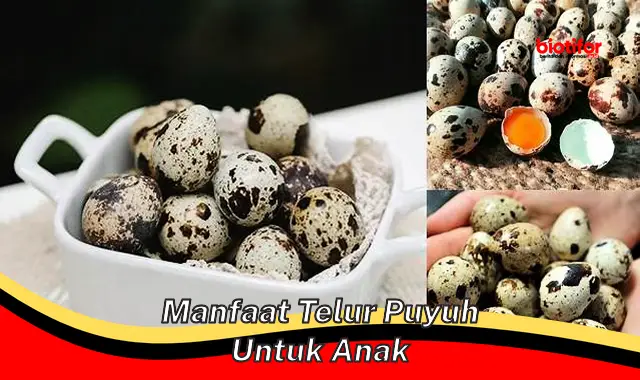 Temukan Manfaat Telur Puyuh untuk Anak yang Jarang Diketahui