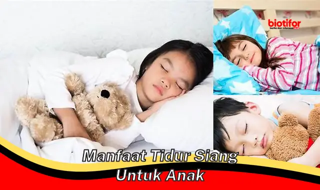 Temukan Manfaat Tidur Siang untuk Anak yang Jarang Diketahui