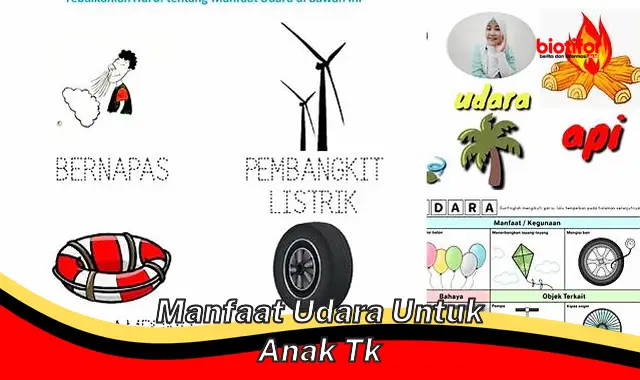 Temukan Manfaat Udara untuk Anak TK yang Jarang Diketahui