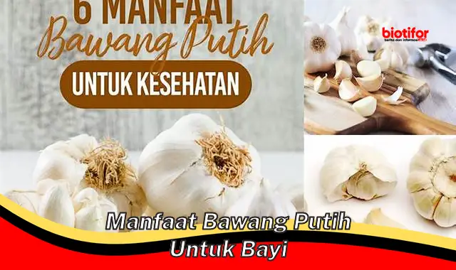 5 Rahasia Manfaat Bawang Putih untuk Bayi yang Jarang Diketahui