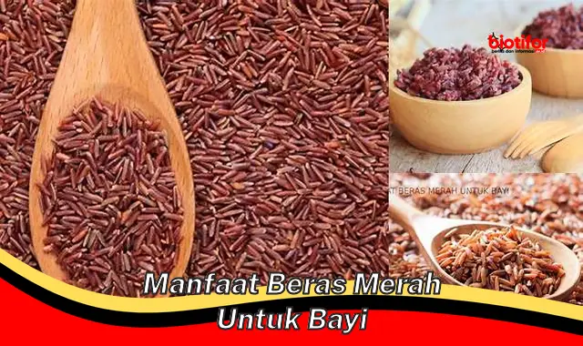 Temukan 5 Manfaat Beras Merah untuk Bayi yang Jarang Diketahui