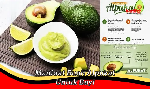 Temukan Manfaat Buah Alpukat untuk Bayi yang Belum Banyak Diketahui