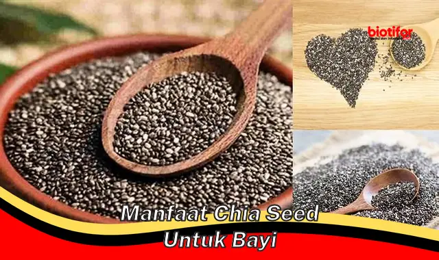 Temukan Manfaat Chia Seed untuk Bayi yang Jarang Diketahui